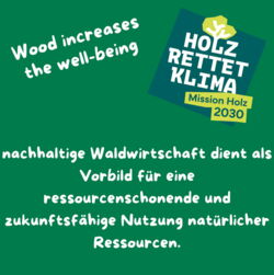 Nahaufnahme von Bockelmann-Energie-Hackschnitzel